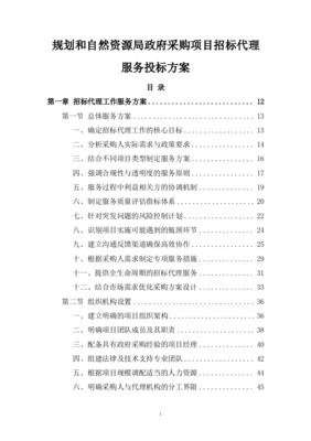 规划和自然资源局政府采购项目招标代理服务投标方案482页.docx